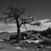 Another ominous scene.
Laramie County, WY.