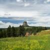 Distant (south) view of
Devil's Tower.